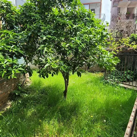 公寓 Kalpazo Rental Vila 313 Tirana 地拉那