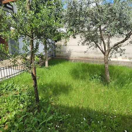 Kalpazo Rental Vila 313 Tirana تيرانا