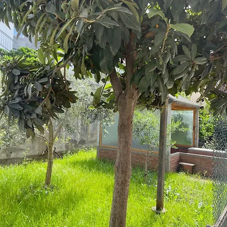 Kalpazo Rental Vila 313 Tirana * 地拉那