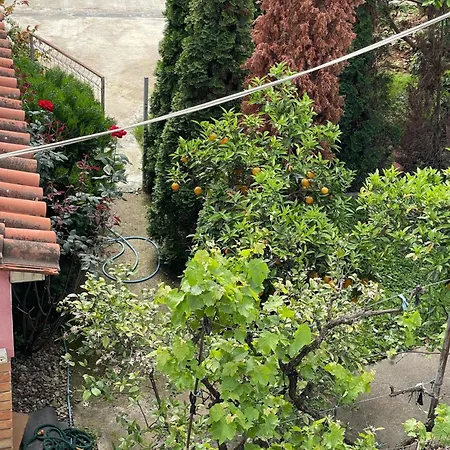 Kalpazo Rental Vila 313 Tirana شقة *