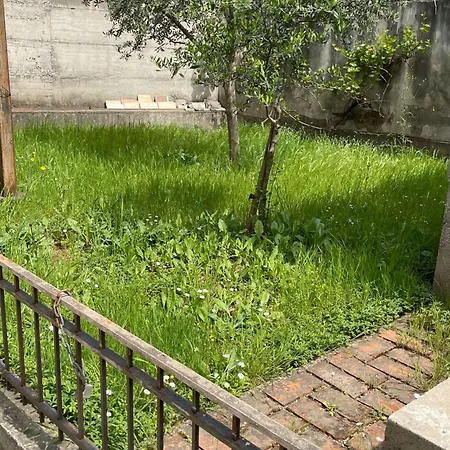 Kalpazo Rental Vila 313 Tirana