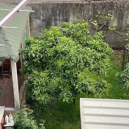 Kalpazo Rental Vila 313 Tirana 公寓