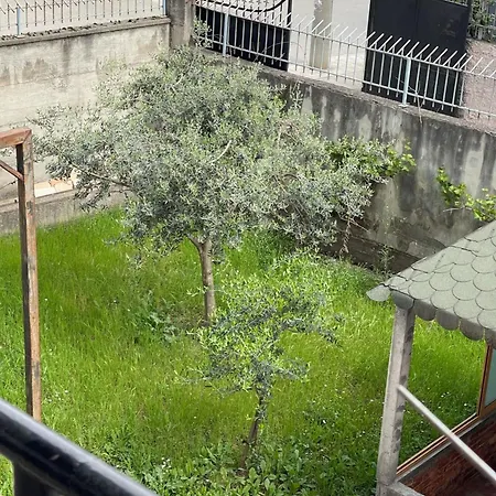 Kalpazo Rental Vila 313 Tirana