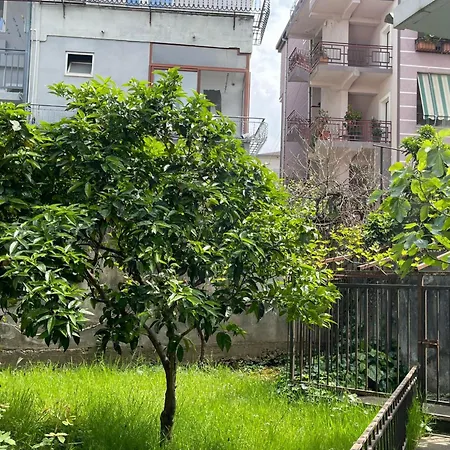Kalpazo 313 公寓 地拉那