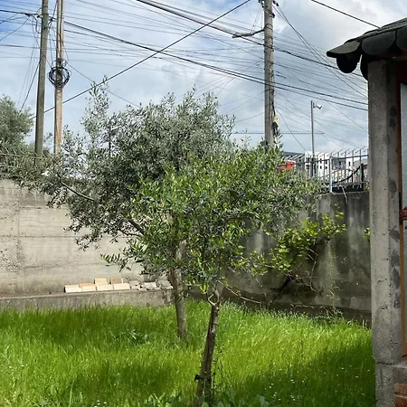 公寓 Kalpazo Rental Vila 313 Tirana