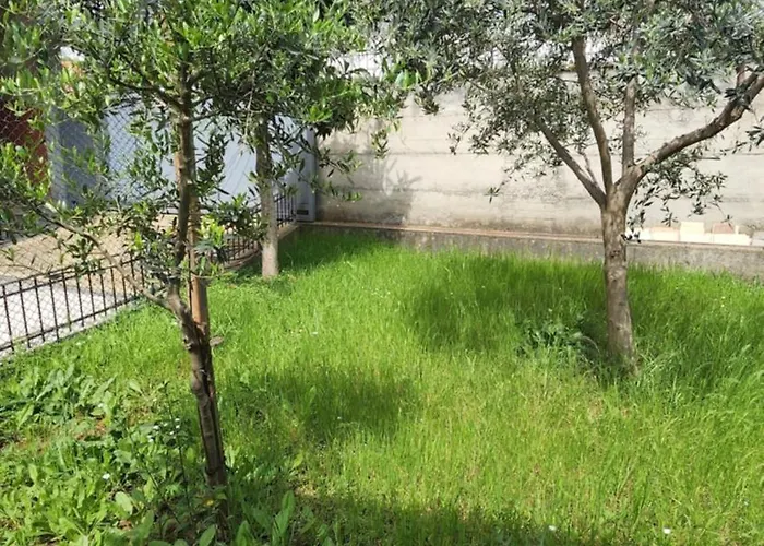 Kalpazo Rental Vila 313 Tirana Tirana