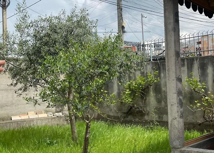 Kalpazo Rental Vila 313 Tirana Apartment