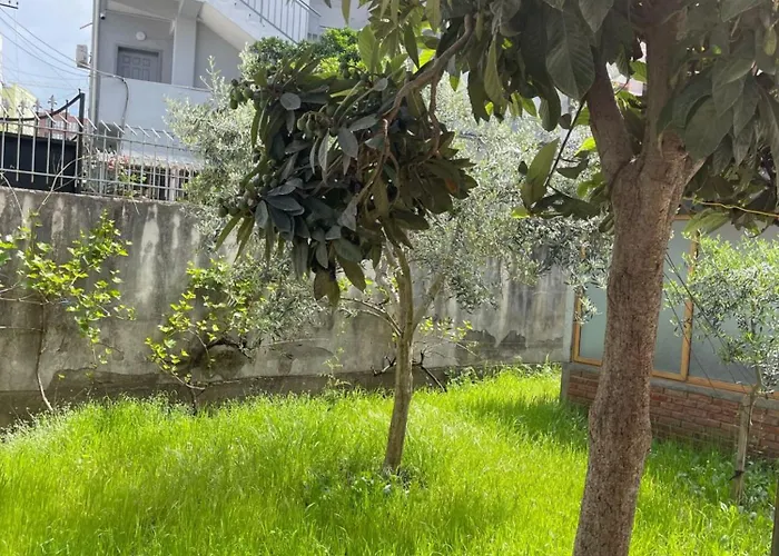 Kalpazo Rental Vila 313 Tirana Apartment