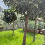 Apartment Kalpazo Rental Vila 313 Tirana