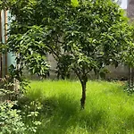Apartment Kalpazo Rental Vila 313 Tirana