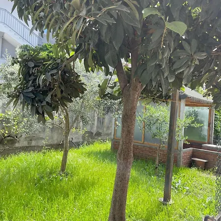 Apartmán Kalpazo Rental Vila 313 Tirana