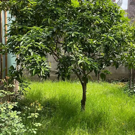 Apartmán Kalpazo Rental Vila 313 Tirana