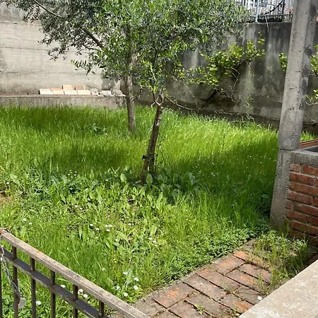 Kalpazo Rental Vila 313 Tirana *