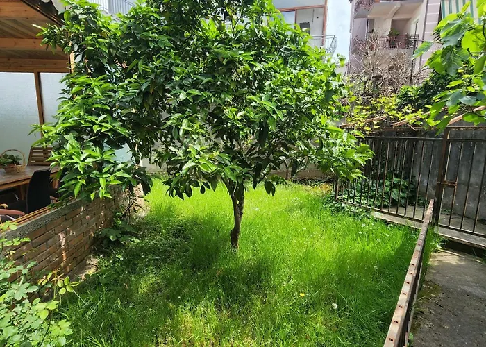 Appartement Kalpazo Rental Vila 313 Tirana Tirana