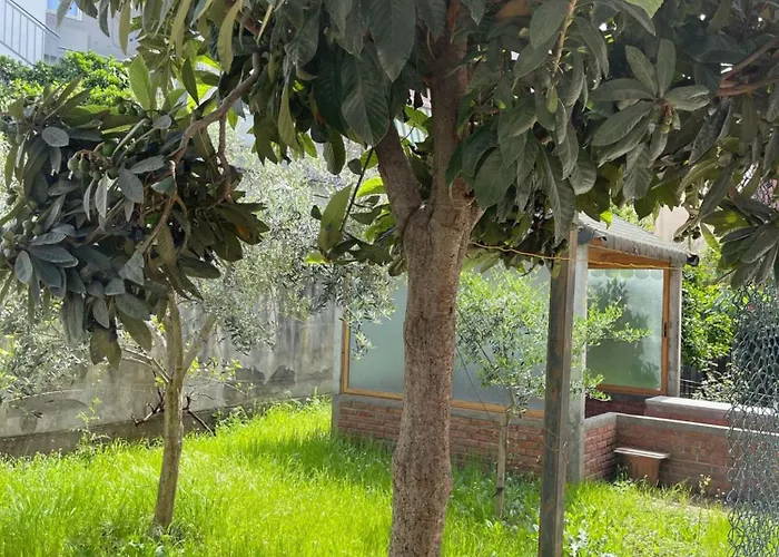 Kalpazo Rental Vila 313 Tirana * Tirana