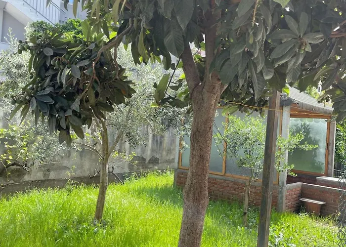 Appartement Kalpazo Rental Vila 313 Tirana