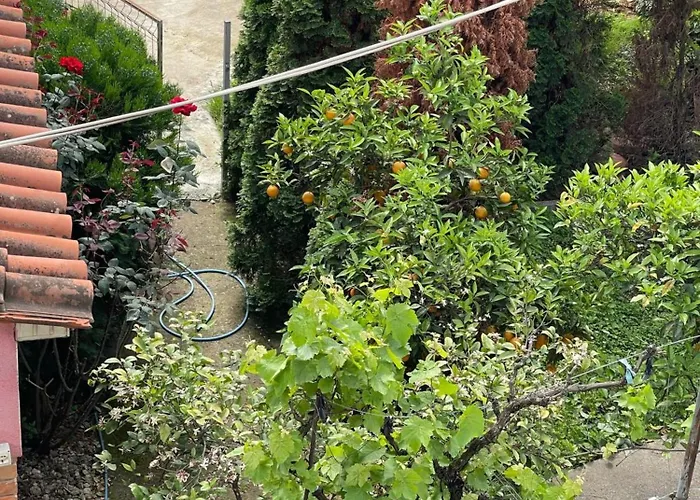 Kalpazo Rental Vila 313 Tirana Appartement *