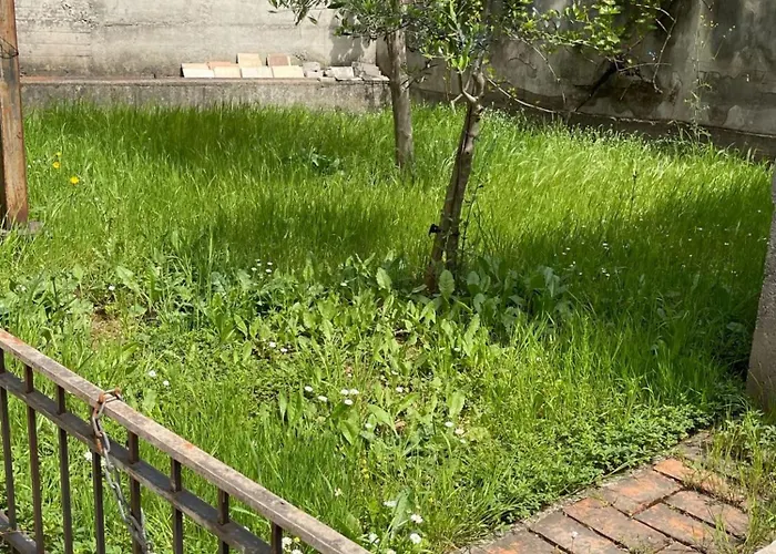 Kalpazo Rental Vila 313 Tirana