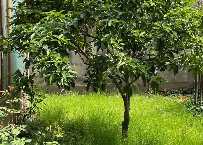 Appartement Kalpazo Rental Vila 313 Tirana