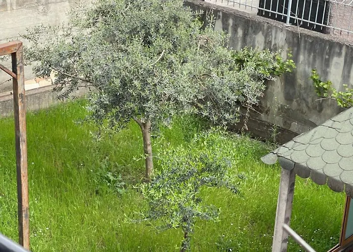 Kalpazo Rental Vila 313 Tirana