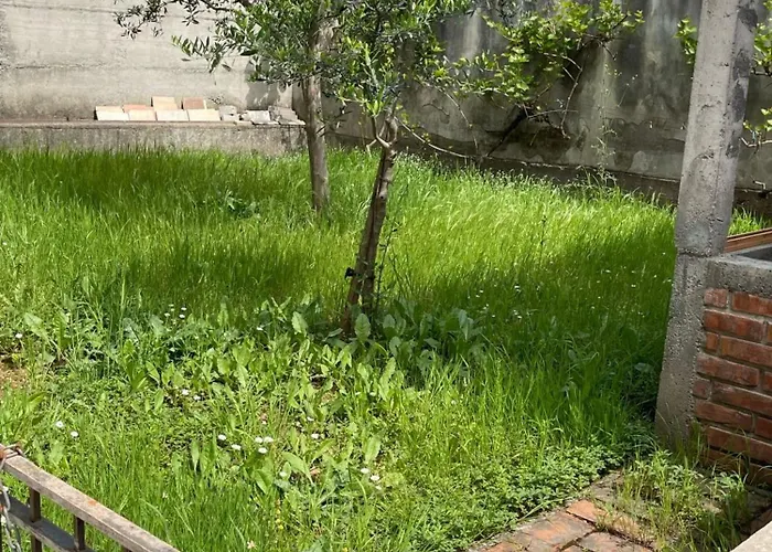 Kalpazo Rental Vila 313 Tirana *