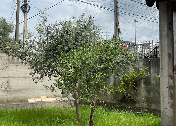 Appartement Kalpazo Rental Vila 313 Tirana